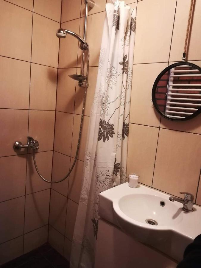 Sielanka Dabrowa Apartment Rzasnik